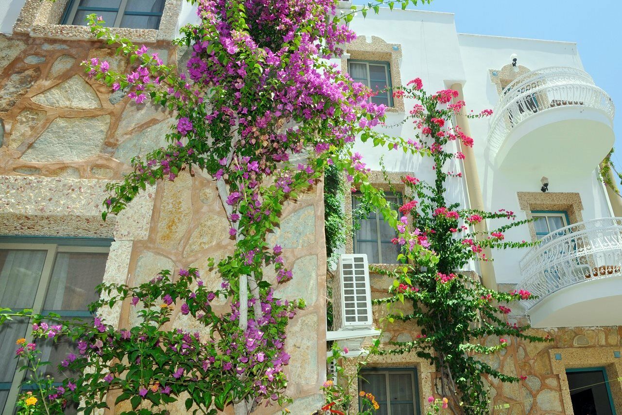 Siesta Beach Apartment Бодрум Экстерьер фото